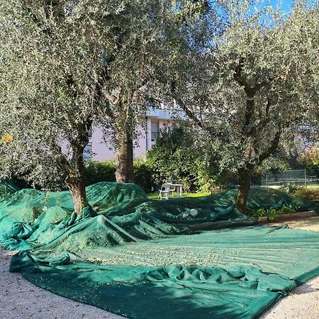 Le Peonie Apartman Riva del Garda Kültér fotó