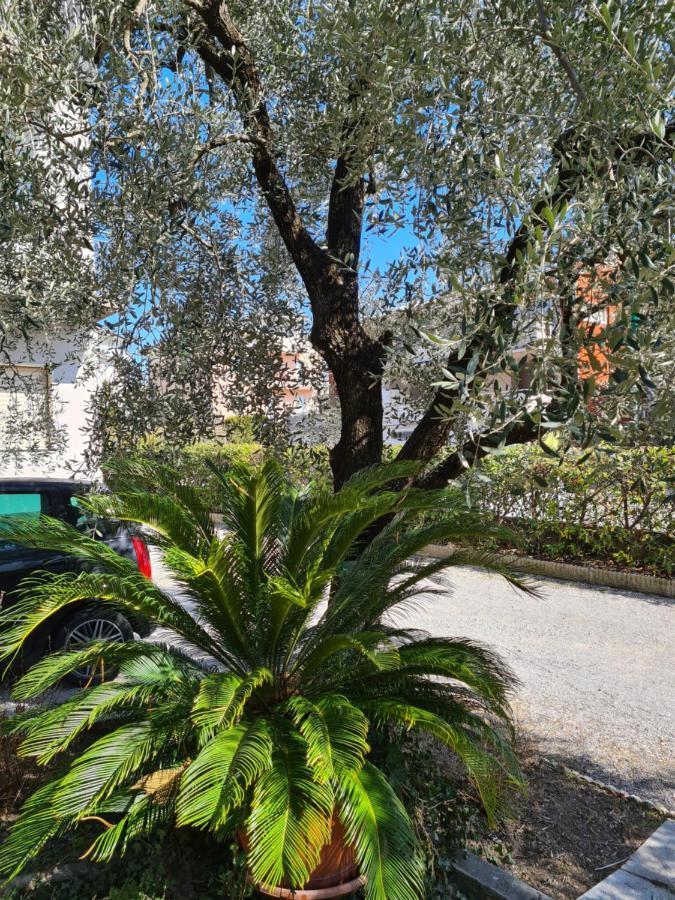 Le Peonie Apartman Riva del Garda Kültér fotó