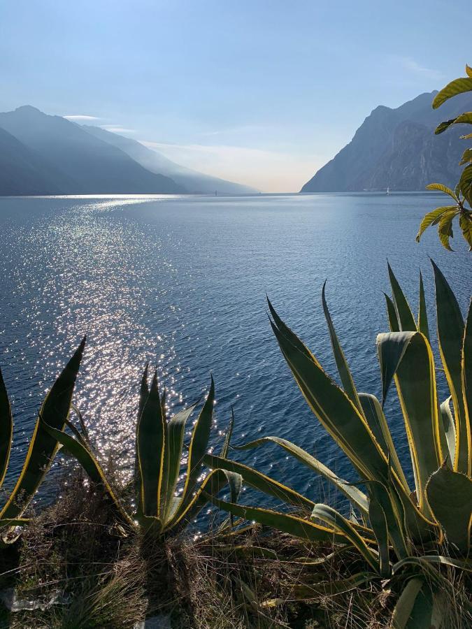 Le Peonie Apartman Riva del Garda Kültér fotó