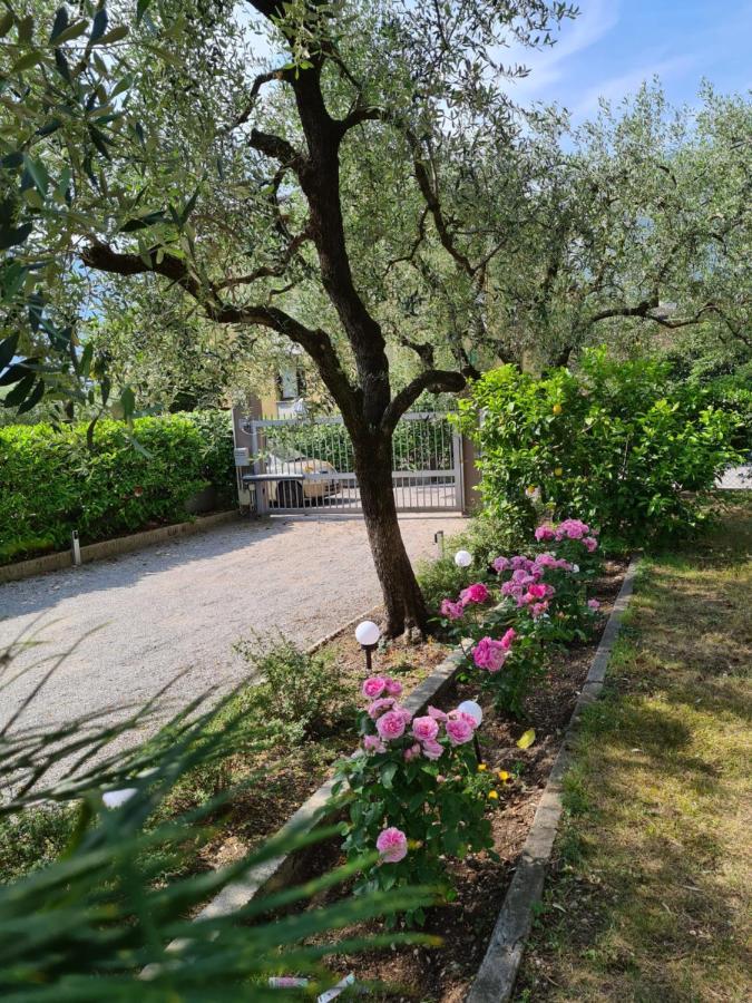Le Peonie Apartman Riva del Garda Kültér fotó