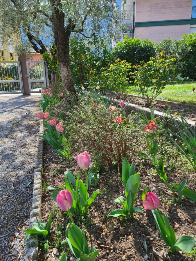 Le Peonie Apartman Riva del Garda Kültér fotó